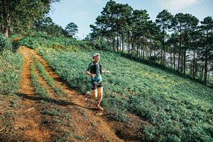 BIB: 
                            <button type="button" onclick="openModal(25654493)" class="btn btn-primary btn-sm float-right btn-popup" data-toggle="modal" data-target=".modal-high-quality">
                        <i class="fas fa-shopping-cart"></i> Add to Cart
                    </button>
                                            <button type="button" onclick="isThisMe(25654493, true)" class="btn btn-success btn-sm float-right btn-popup btn-isme hidden" data-toggle="tooltip" data-placement="bottom" title="นี่คือรูปของคุณใช่ไหม คลิกที่นี่เพื่อเอาเข้าอัลบั้ม">
                        <i class="fas fa-plus"></i> Add to album
                    </button>
                    <button type="button" onclick="isThisMe(25654493, false)" class="btn btn-warning btn-sm float-right btn-popup btn-isnotme hidden">
                        <i class="fas fa-ban"></i> Remove from album
                    </button>